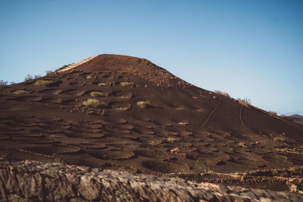 lanzarote vineyard on a sunny day