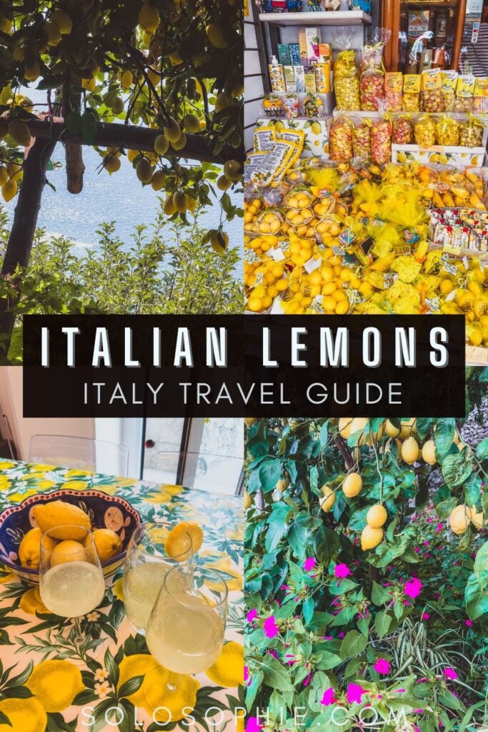 lemons in italy/ What makes Amalfi and Sorrento Lemons so special