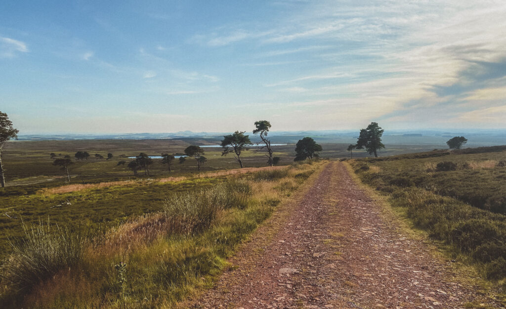 landscape of a walking path in the scottish borders