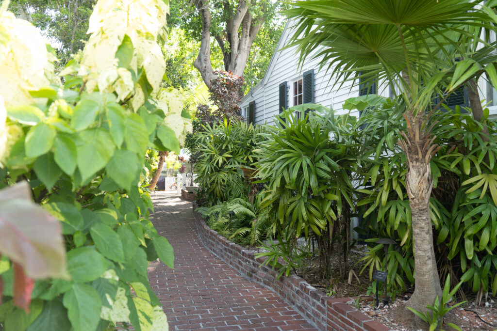 plants in key west