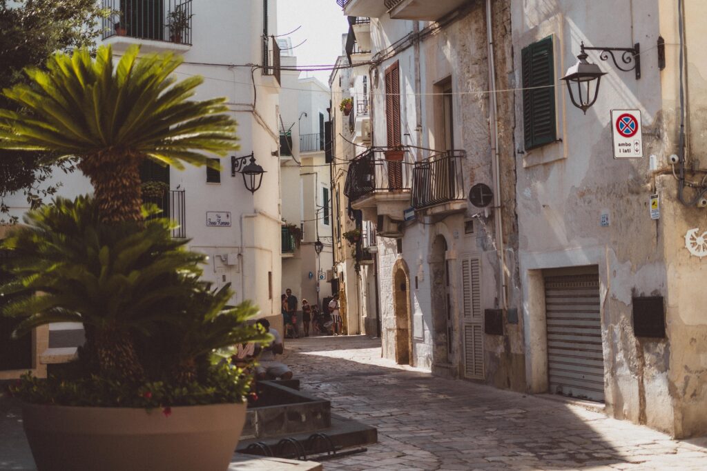 plants in street monopoli