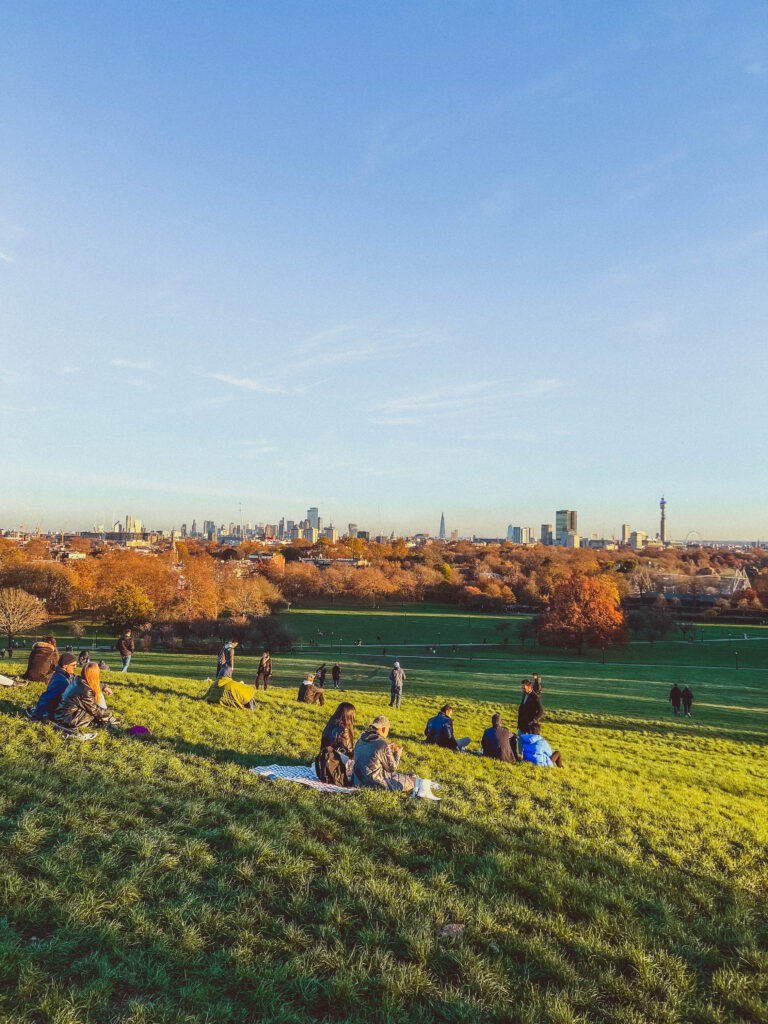 primrose hill