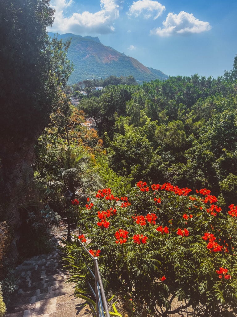 view in mortella gardens with red flowers