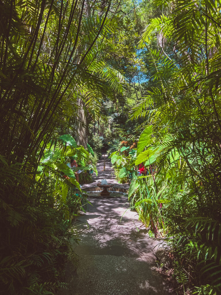 path lined with green mediterranean and tropical vegetation in mortella gardens ischia italy