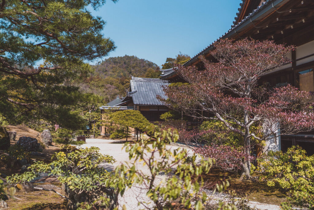 Kinkaku-ji Temple