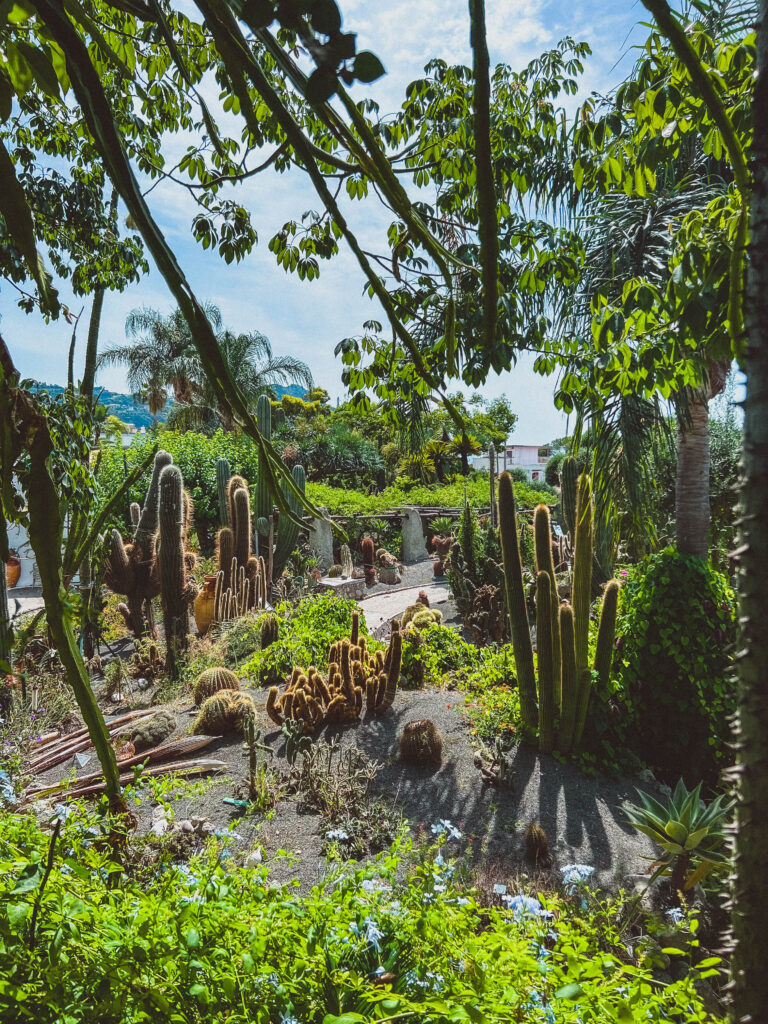Cactus Garden (Giardini Ravino)