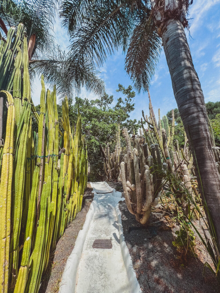 Cactus Garden (Giardini Ravino)