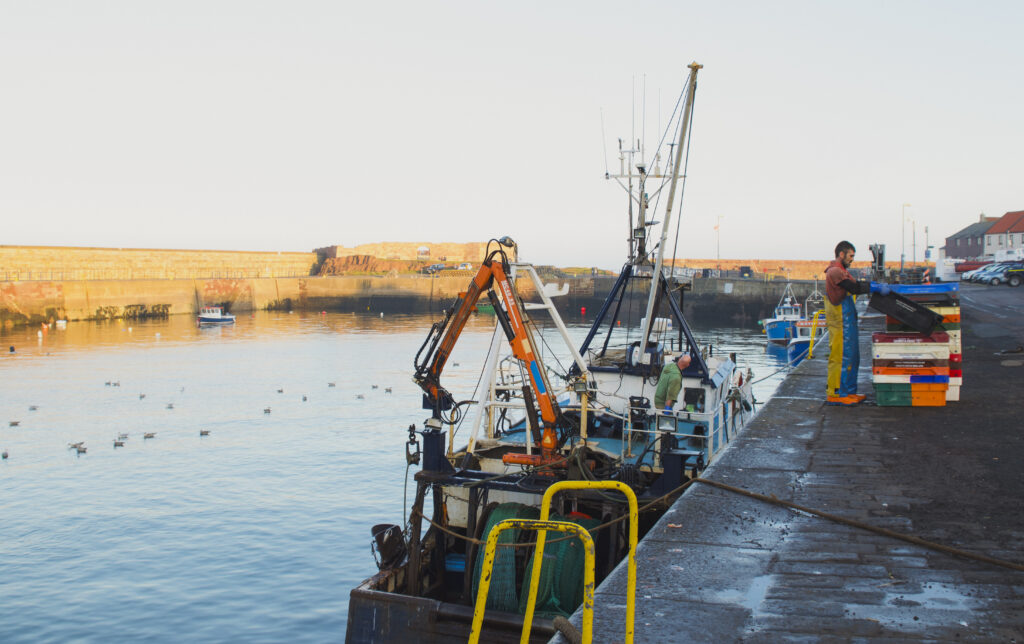 fishermen at work in dunbar scotland