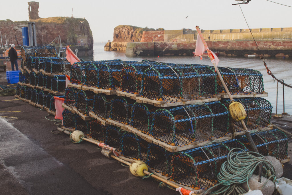 lobster cages in dunbar harbour scotland