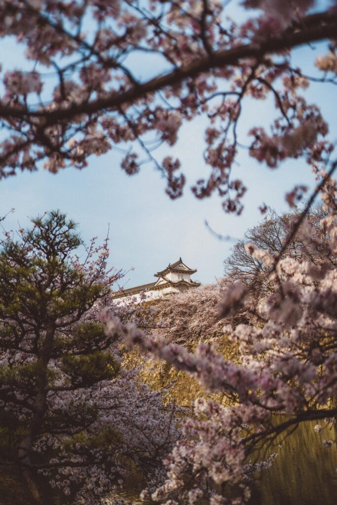 himeji castle walls