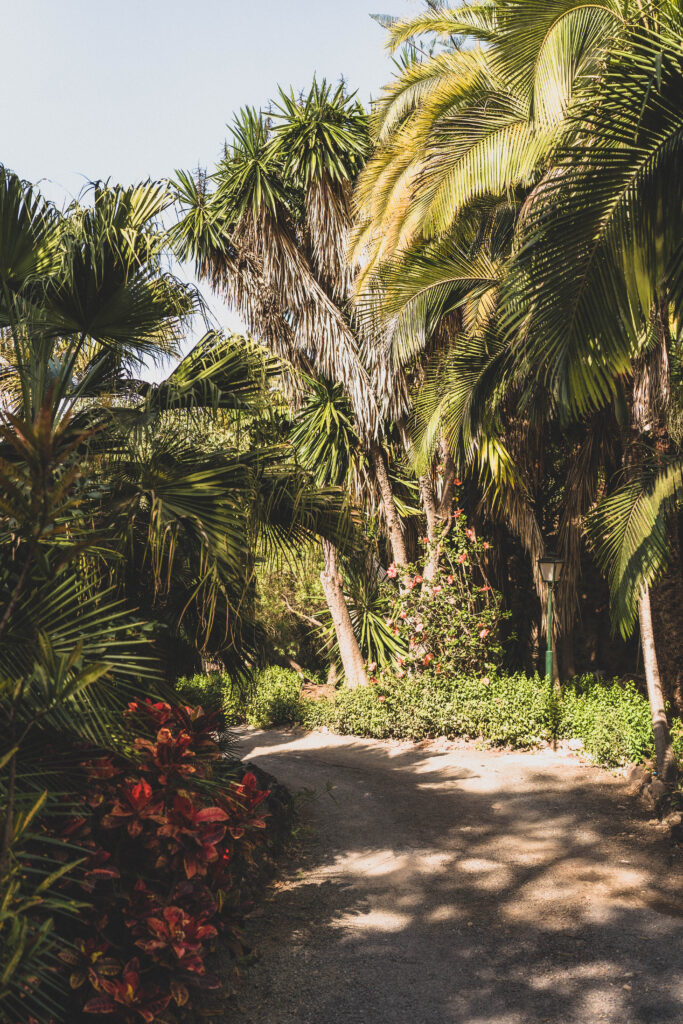 Botanical garden (Jardin de la Marquesa)
