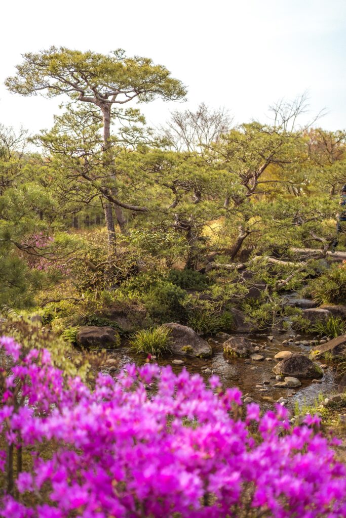 Visit the Koko-en Gardens