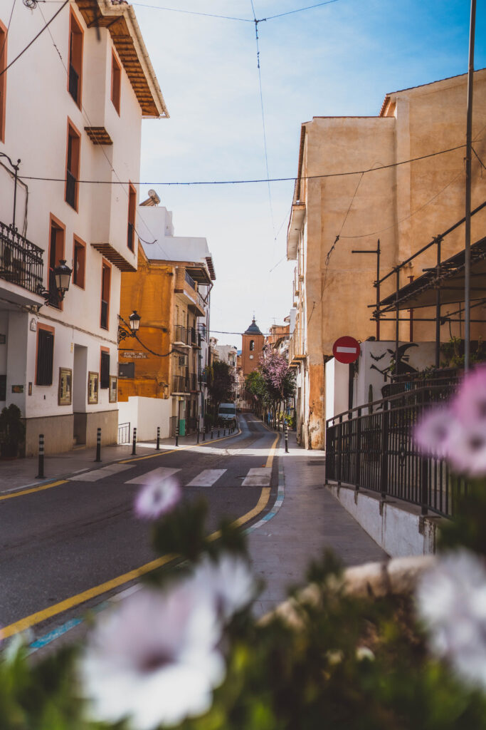 flowers blooming in Lanjarón