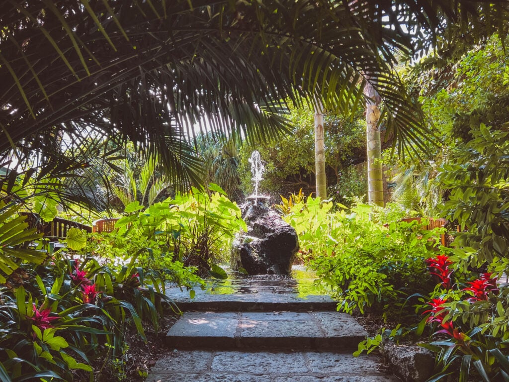 view of stone pathway and fountain in mortella gardens ischia italy