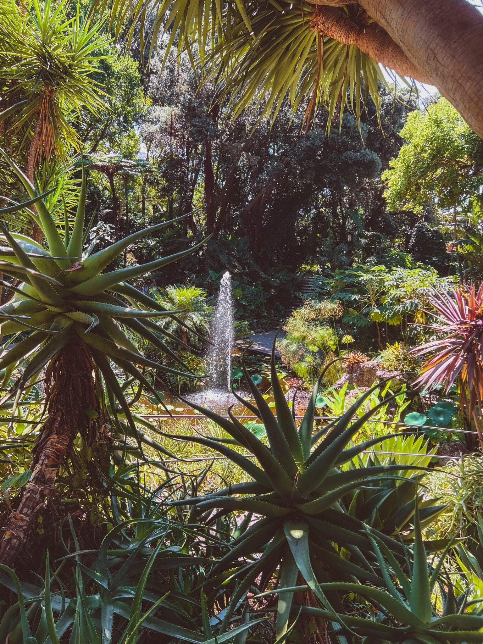ischia i giardini della mortella