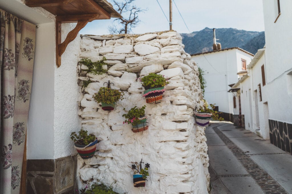 plant pots Trevélez