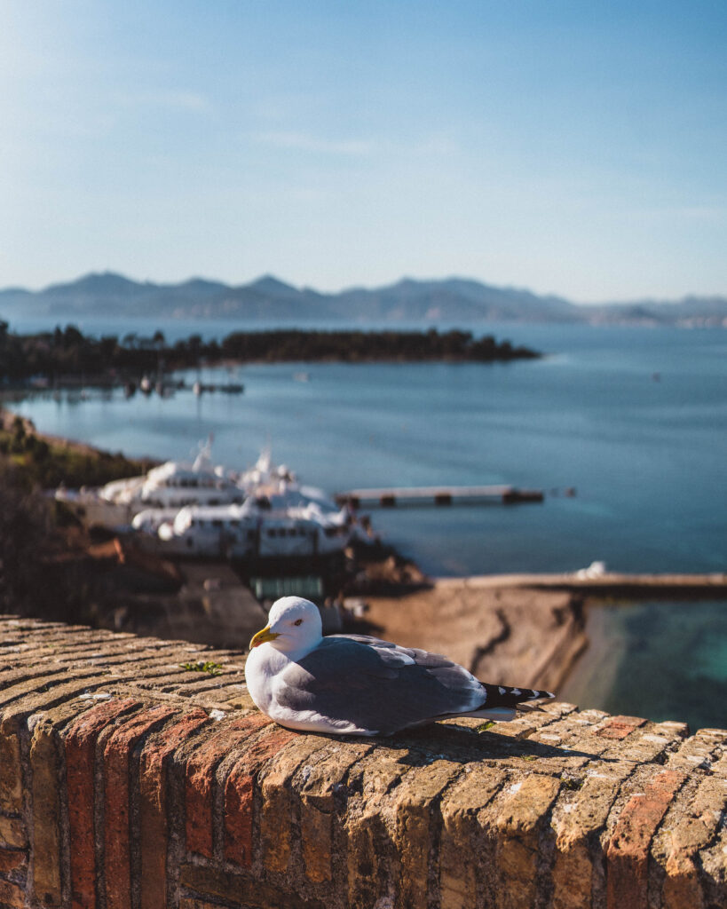 things to do in Île Sainte-Marguerite