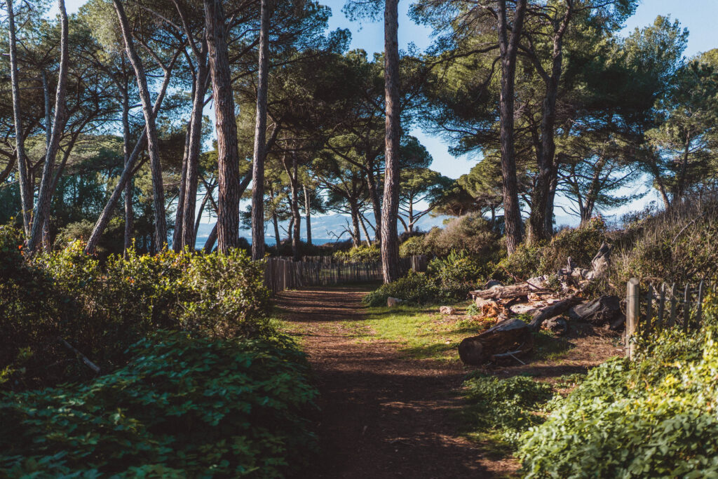walking on Île Sainte-Marguerite