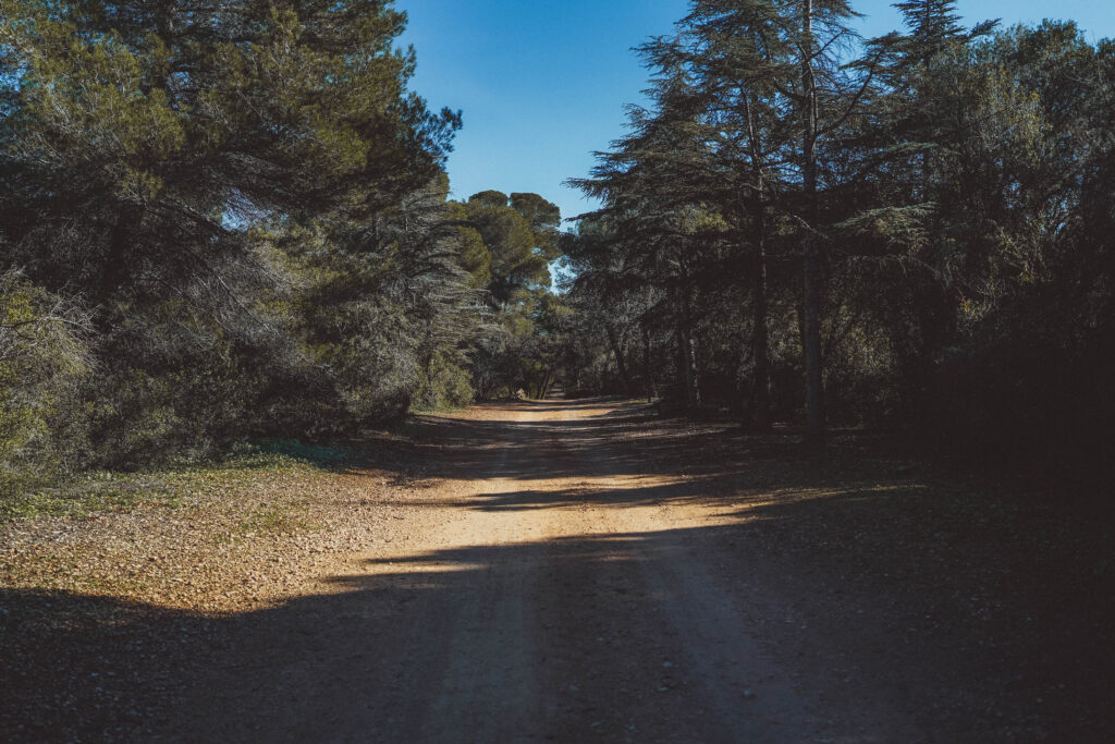 walkway Île Sainte-Marguerite