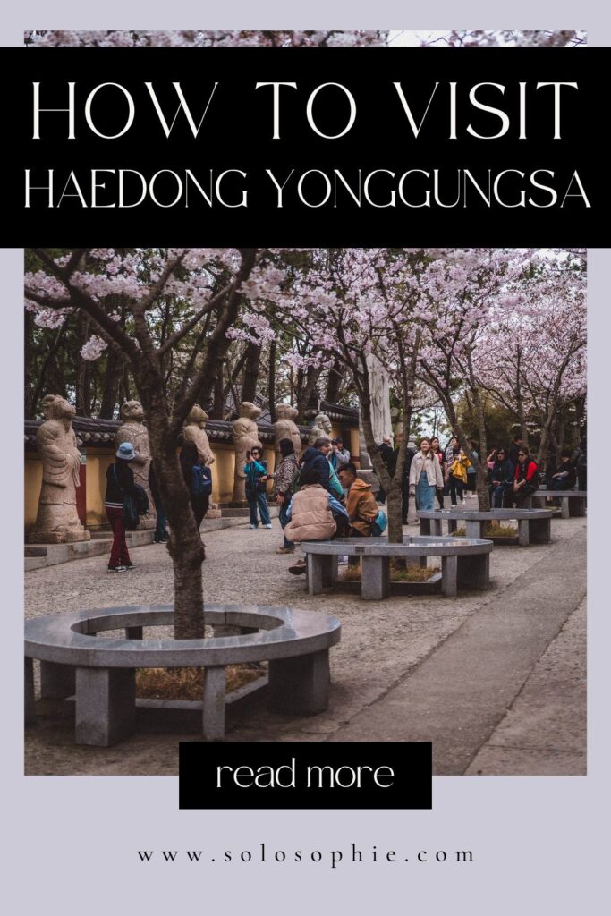 How to Visit Haedong Yonggungsa, Busan/ busan south korea travel guide