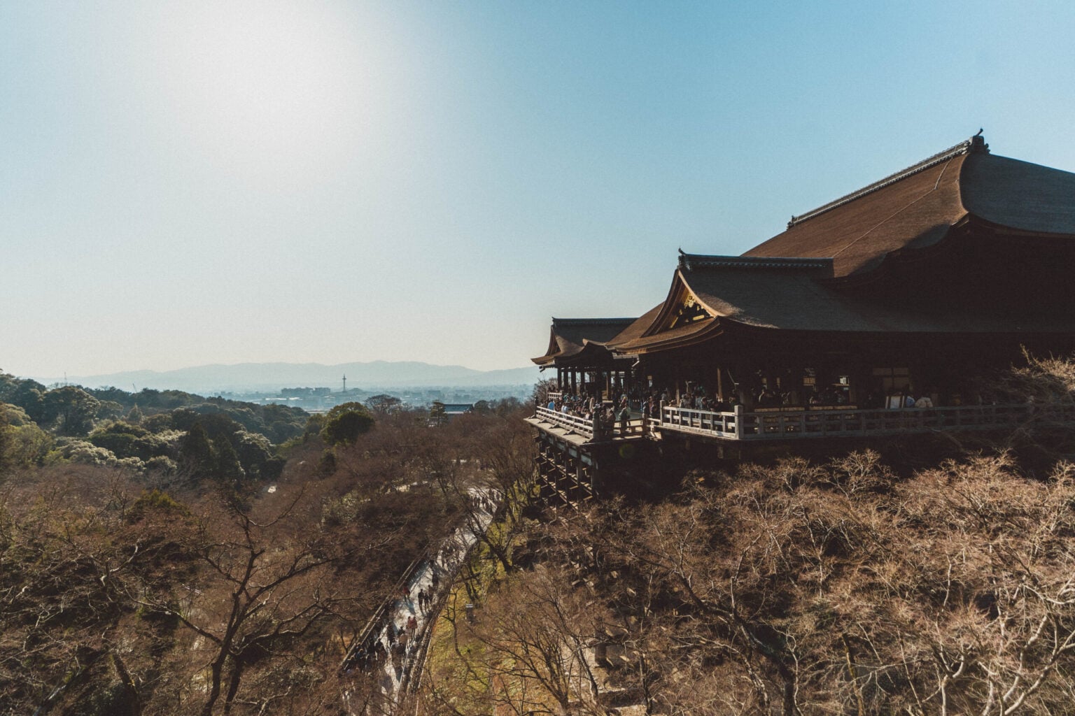 Kyoto Fall (2026) Travel Guide: Best Spots for Autumn Foliage | solosophie