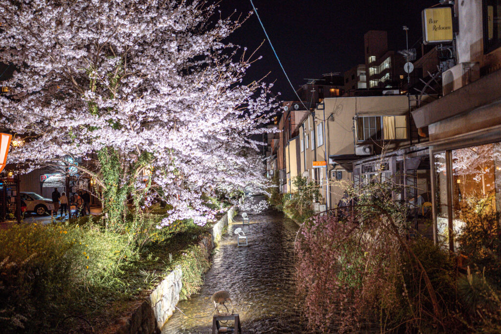 takase river at night