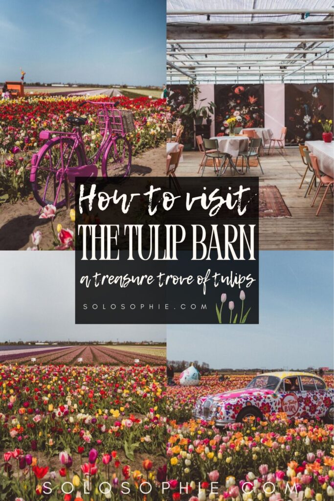how to visit the tulip barn in holland