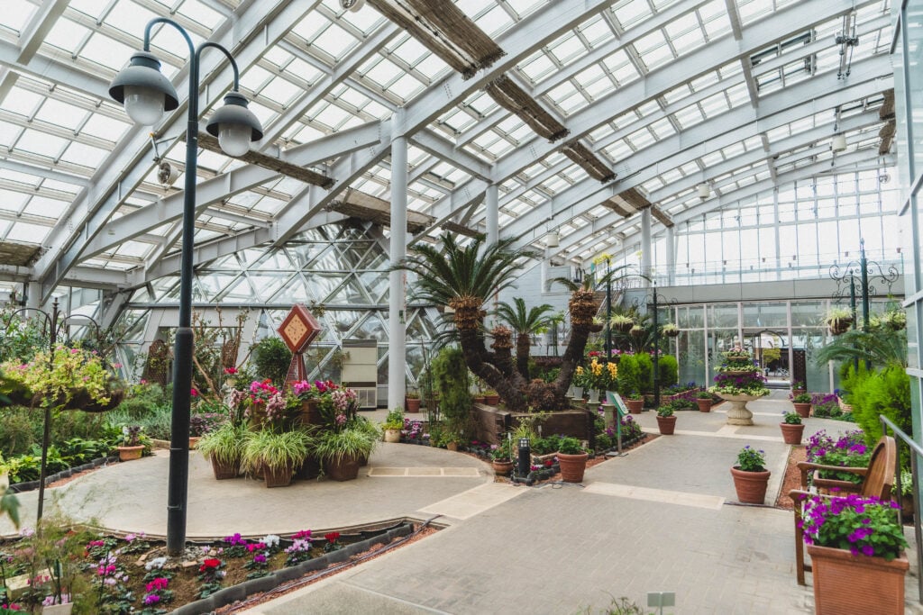 Yamanakako Hana no Miyako Park