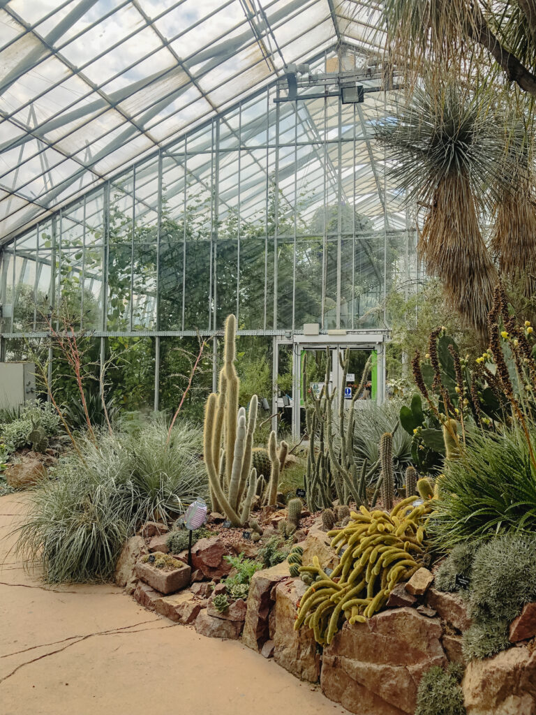 cactus glasshouse edinburgh botanic gardens