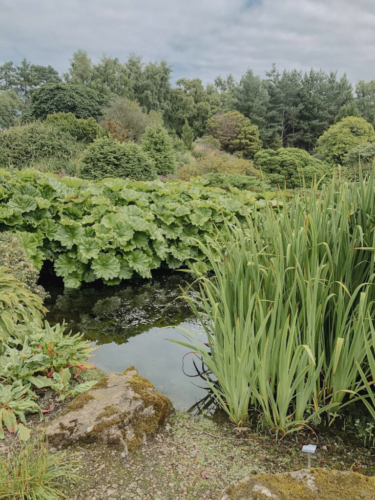 botanic gardens edinburgh