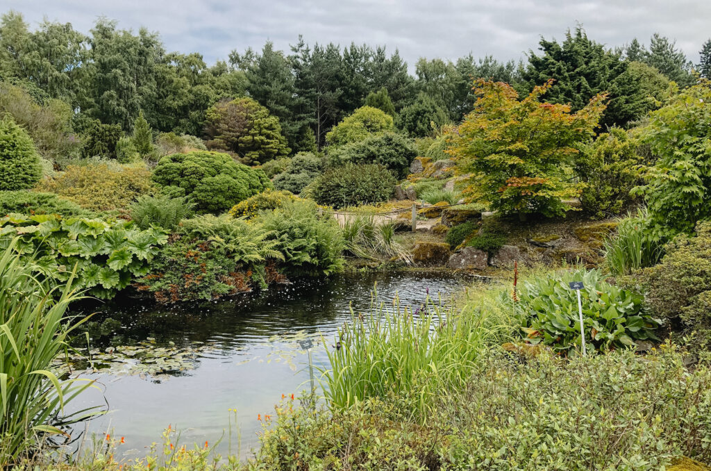 botanic gardens edinburgh