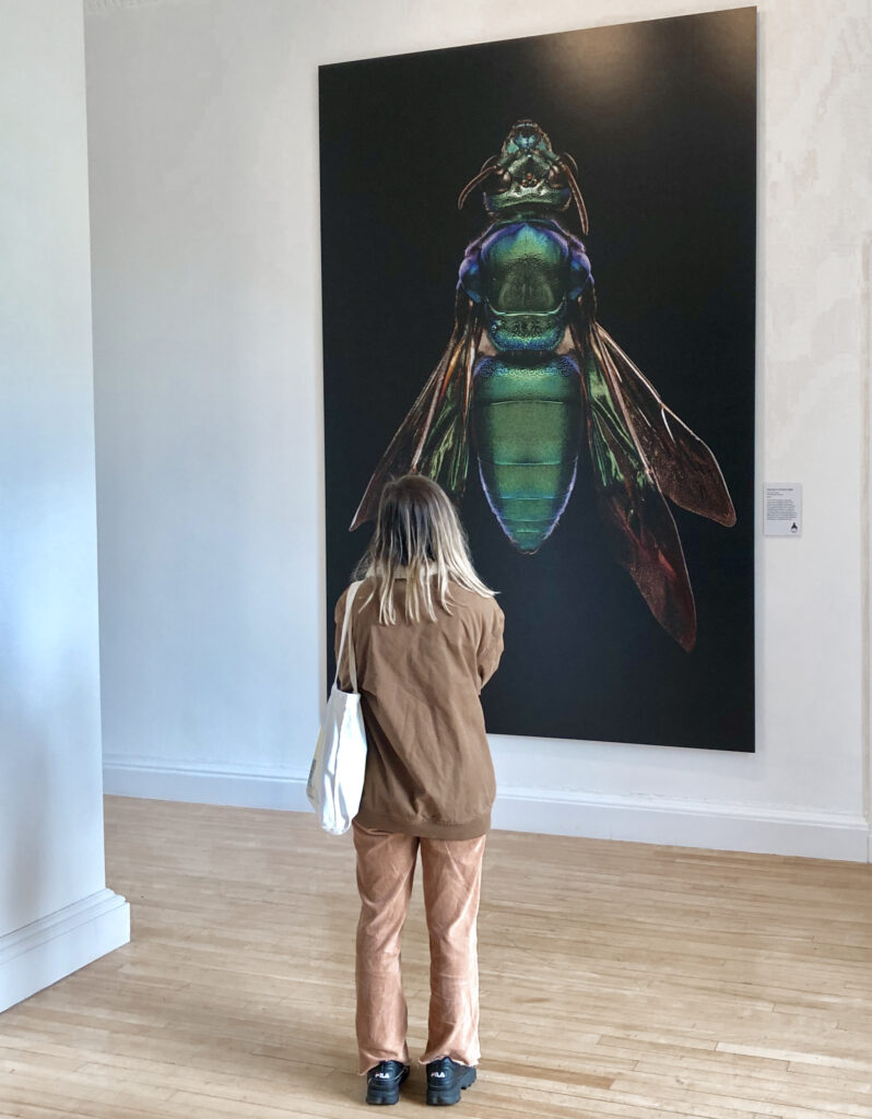 exhibition in inverleith house edinburgh botanic gardens