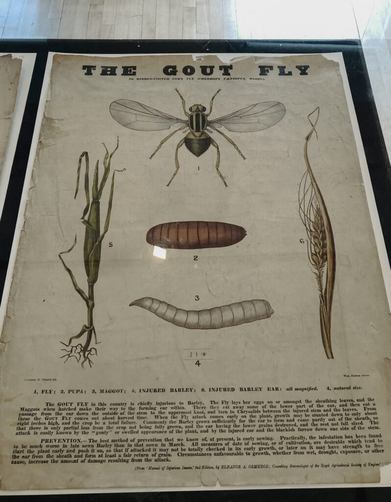 edinburgh botanic gardens exhibition poster