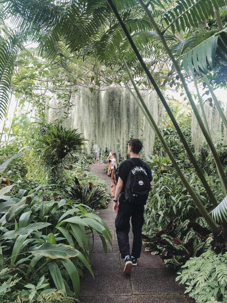 walking through edinburgh botanic gardens