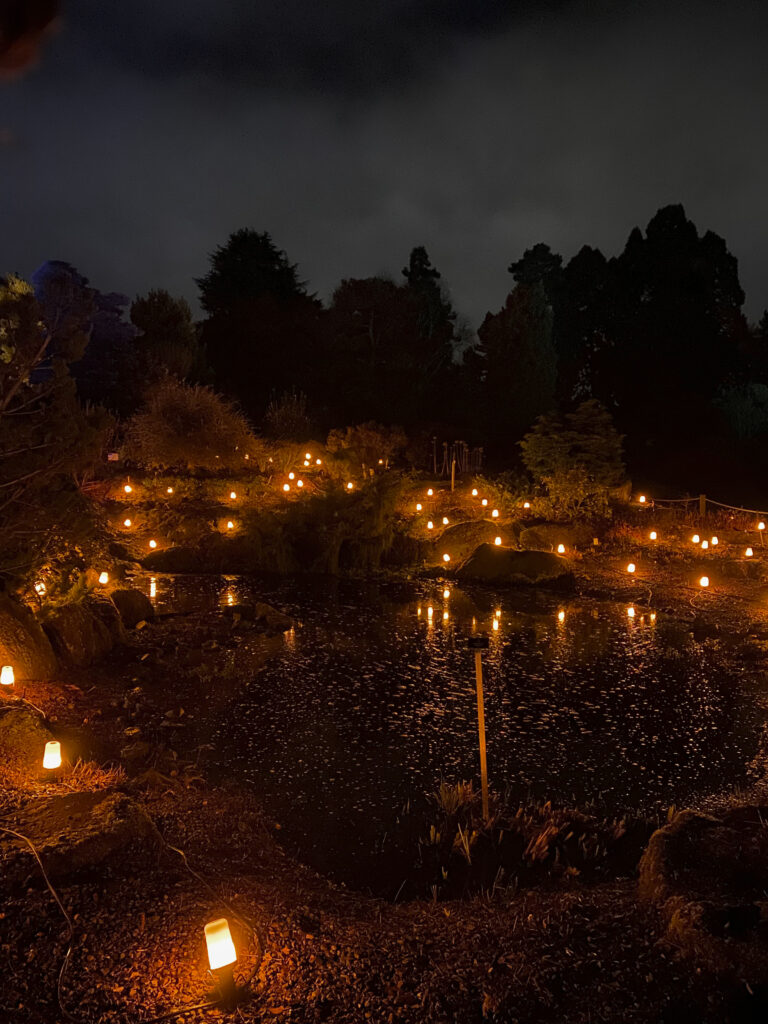 light show at edinburgh botanic garden christmas