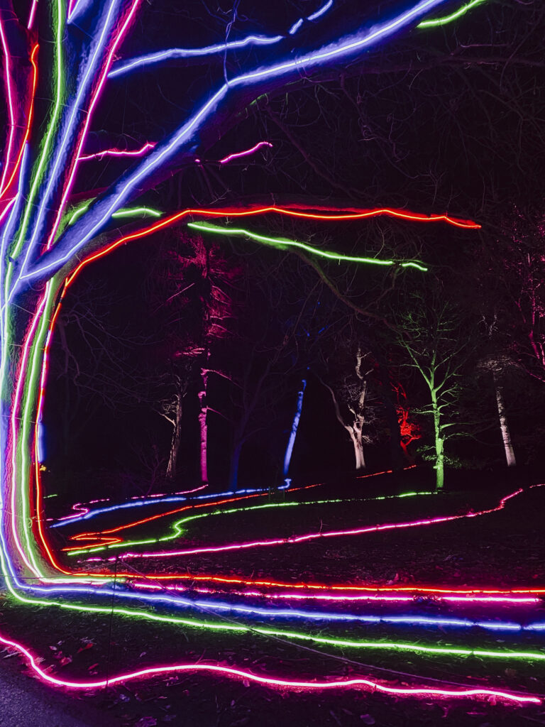 light show at edninburgh botanic garden christmas