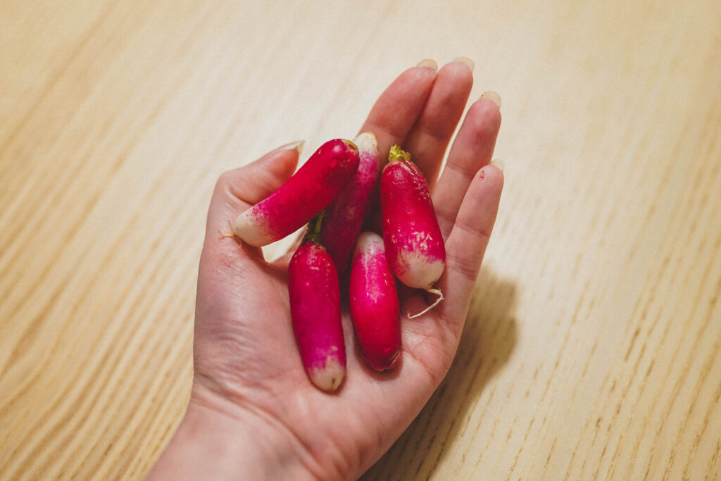 breakfast radishes