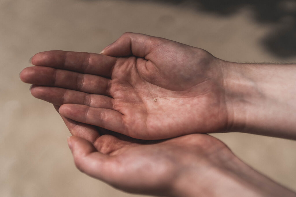 star sand at kaiji beach