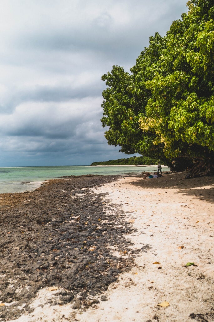 best things to do in taketomi