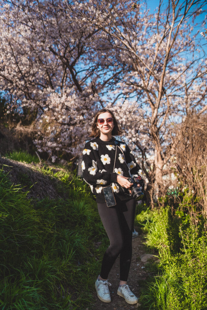 sophie nadeau cherry blossoms in gamechon village