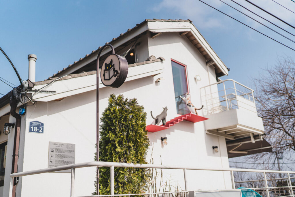cat sculptures in ihwa mural village