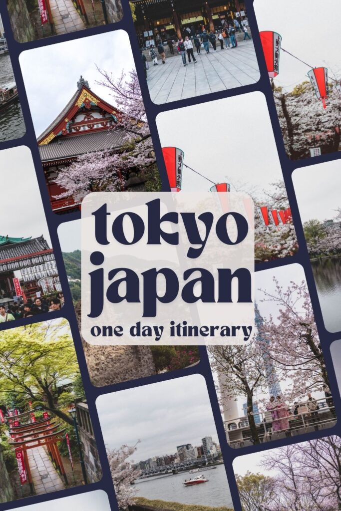 one day in tokyo/ best of japan/ best things to do in tokyo japan during cherry blossom season