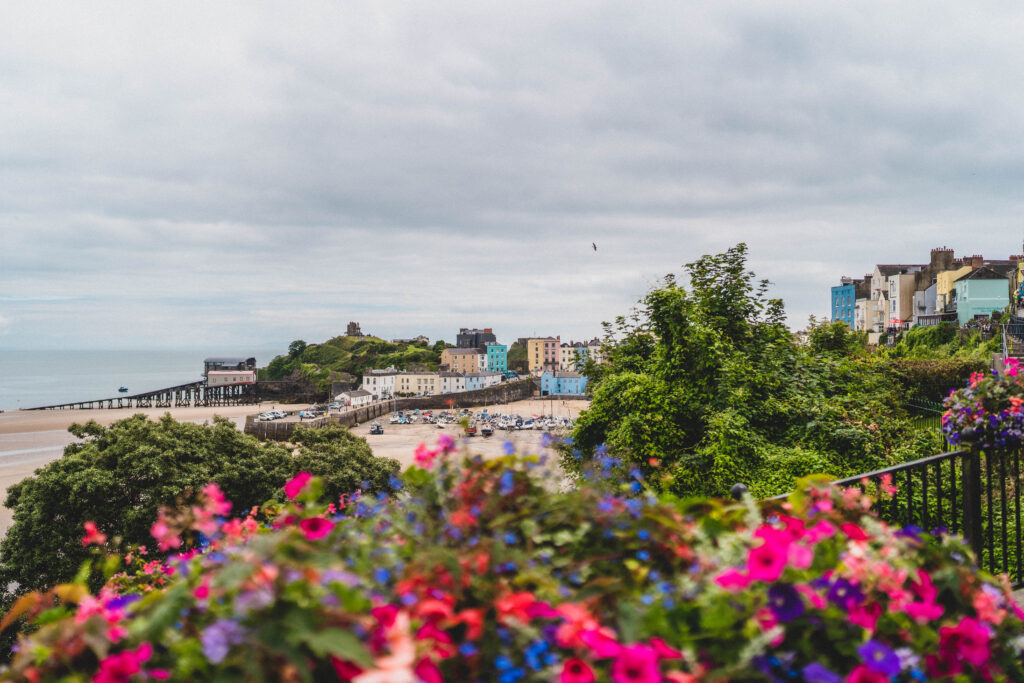 tenby flowers