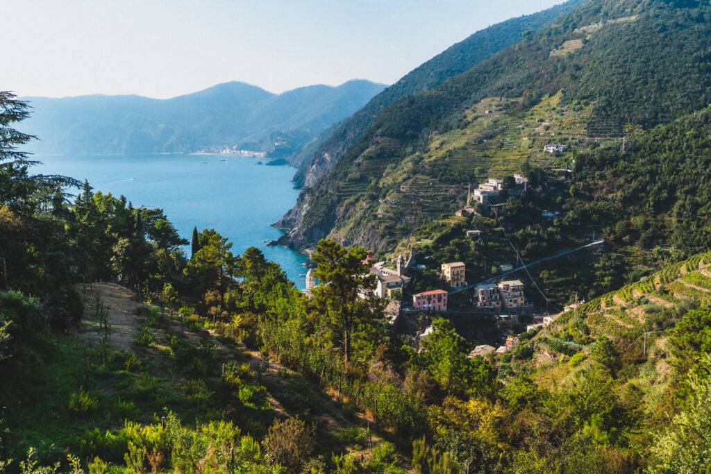 vernazza hillside