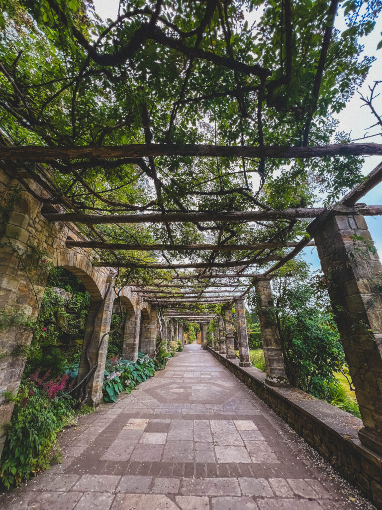 walkway hever castle