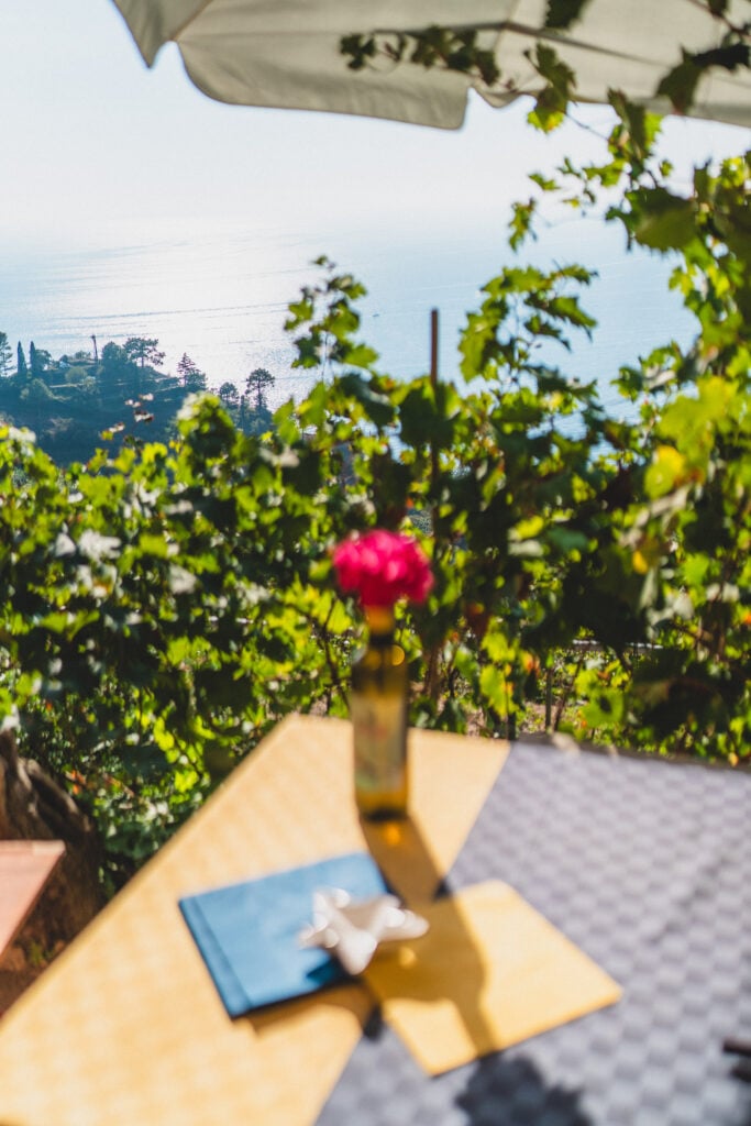 wine tasting vernazza