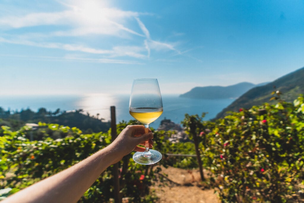 wine vernazza