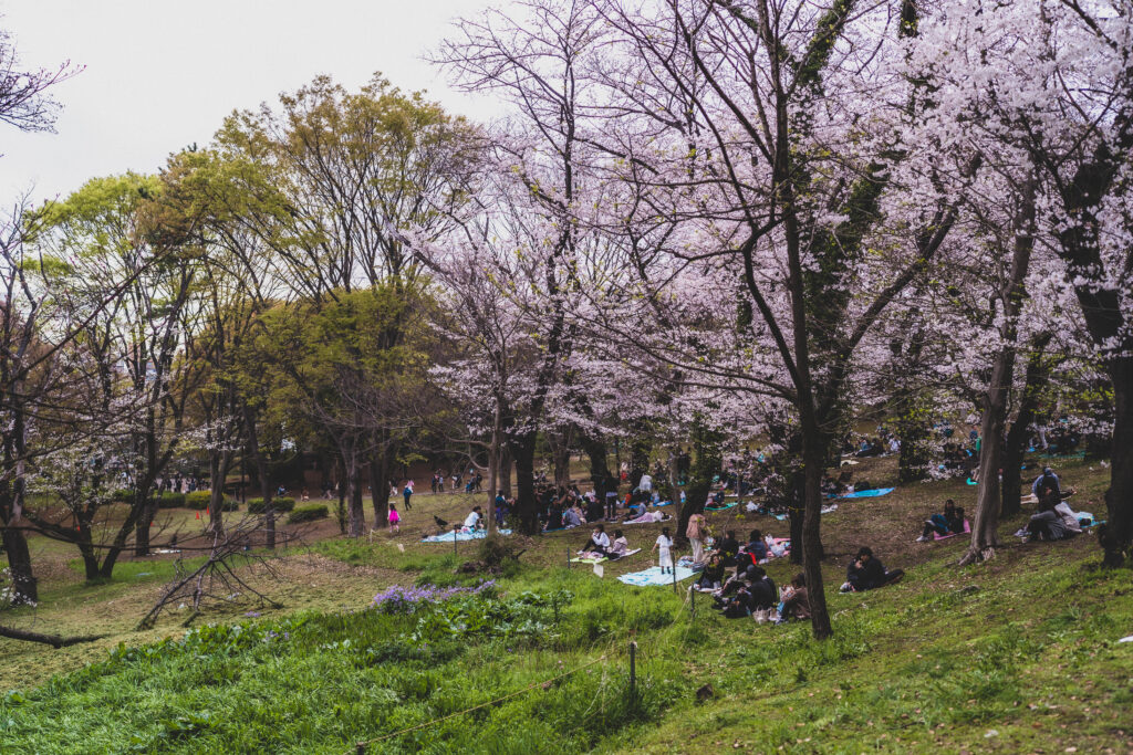 yoyogi park