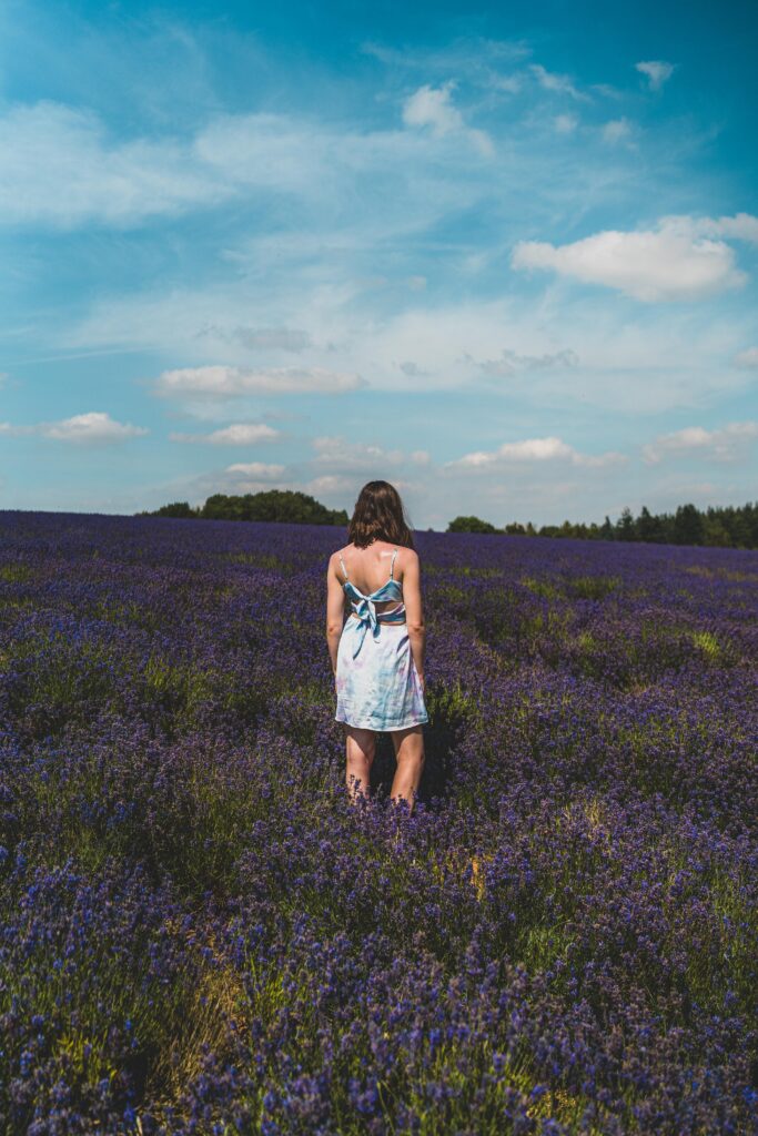 sophie nadeau cotswold lavender