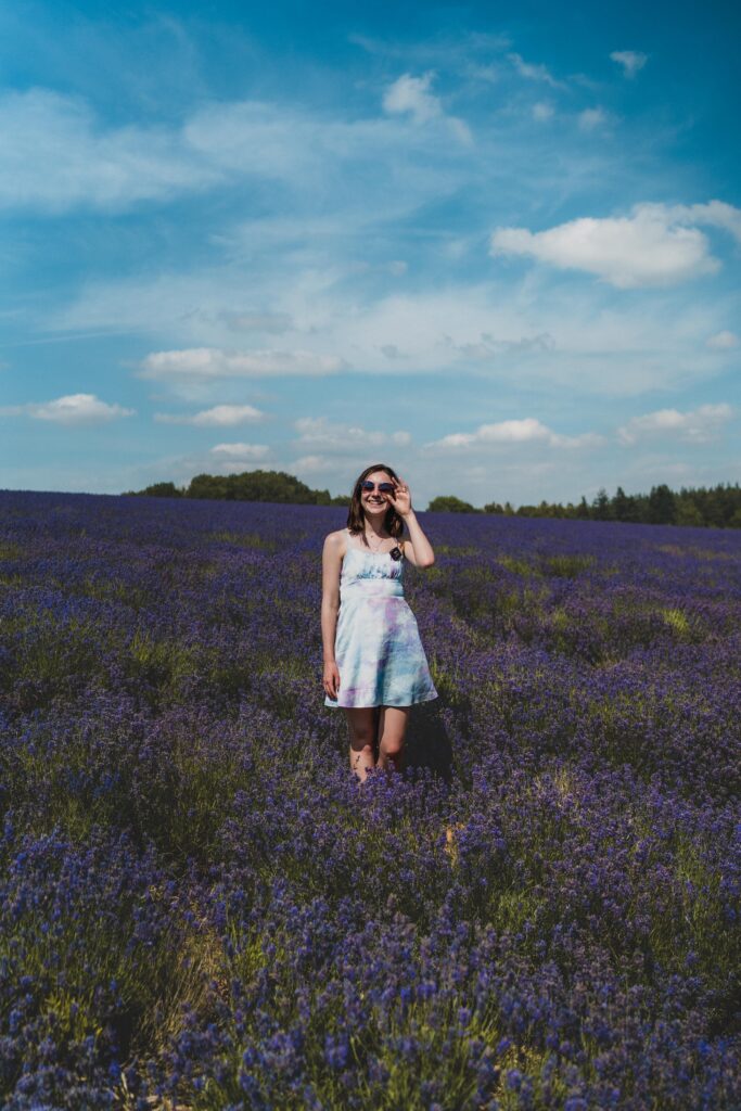 cotswold lavender